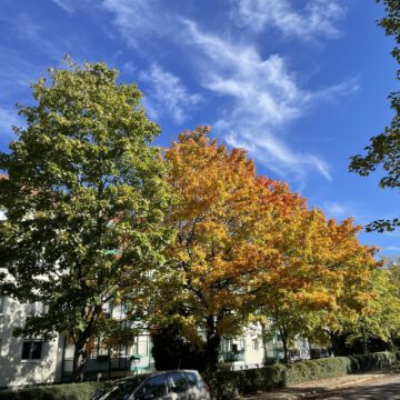 goldener Herbst